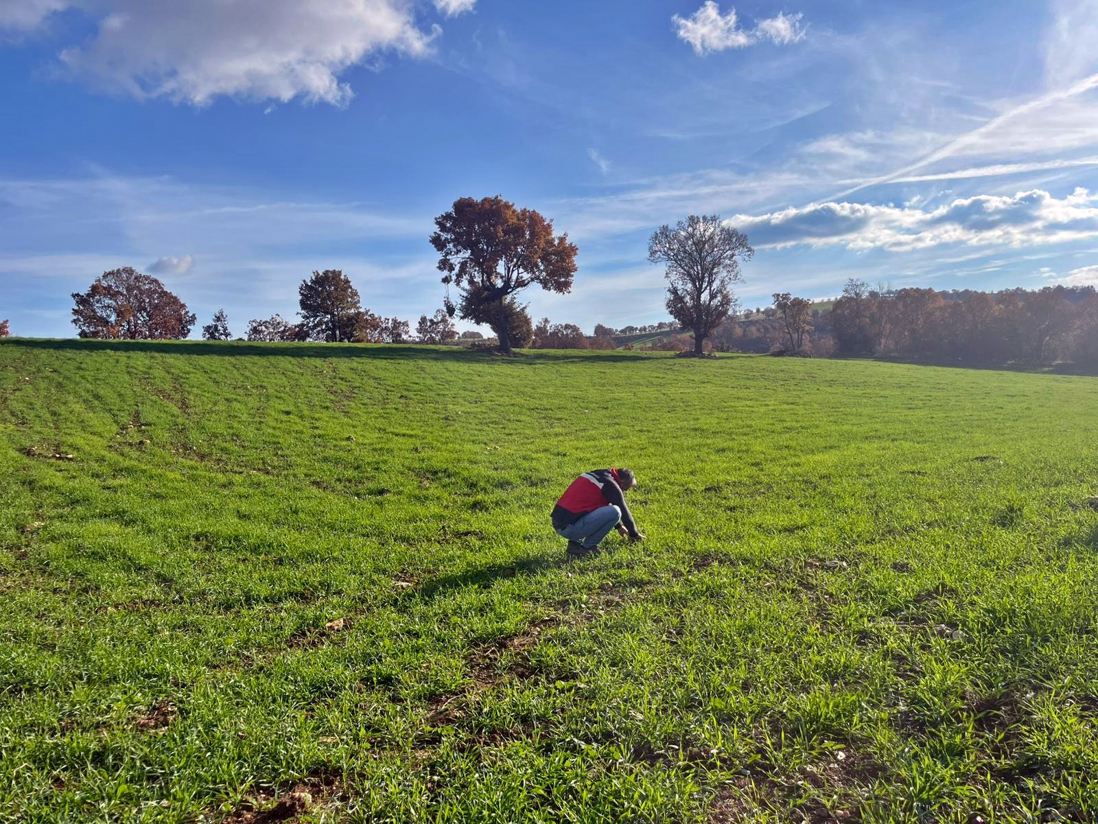 Kütahya Şaphane’de Fenolojik Bitki Gözlemleri Yapıldı1