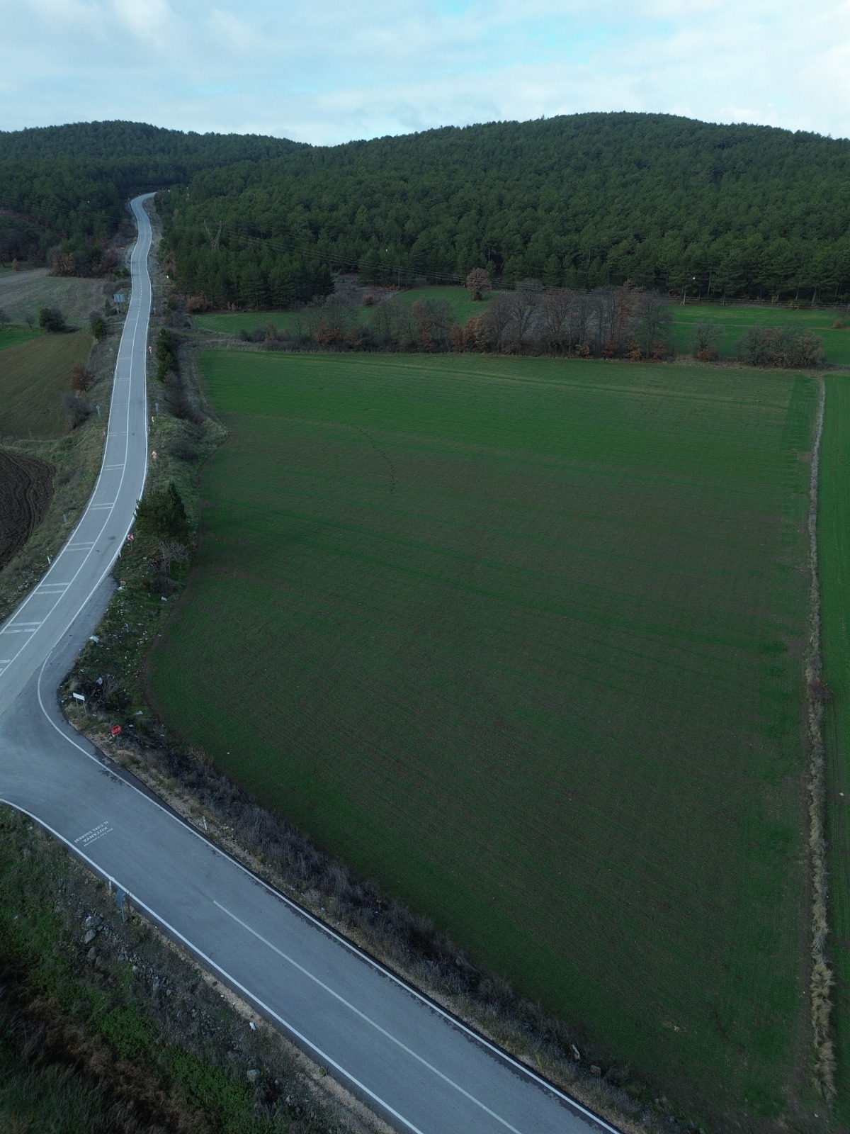 Kütahya Tavşanlı’da Demonstrasyon Arazilerinde Fenolojik Gözlem1