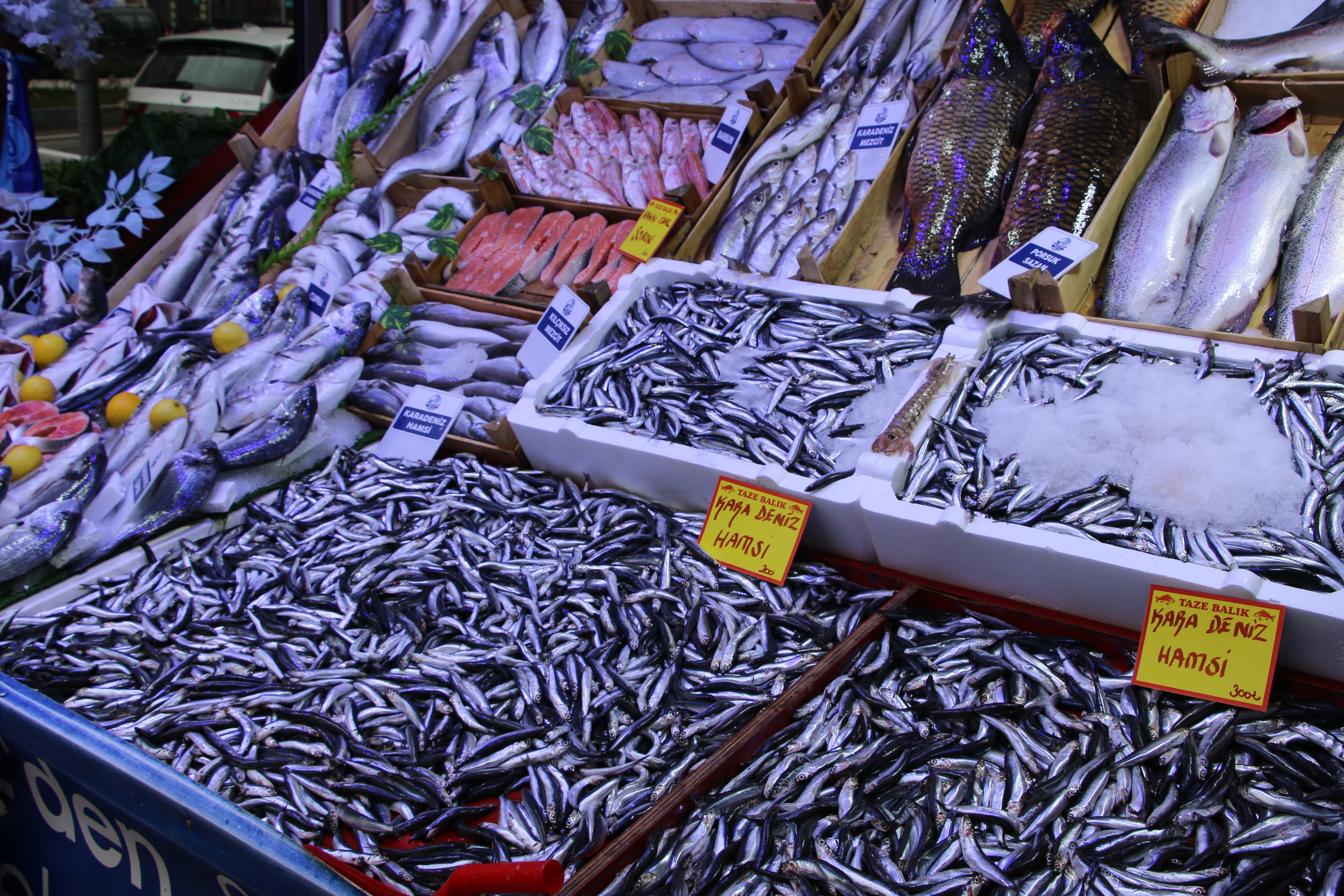 Kütahya’da Aralık Ayında Hangi Balık Yenir (2)