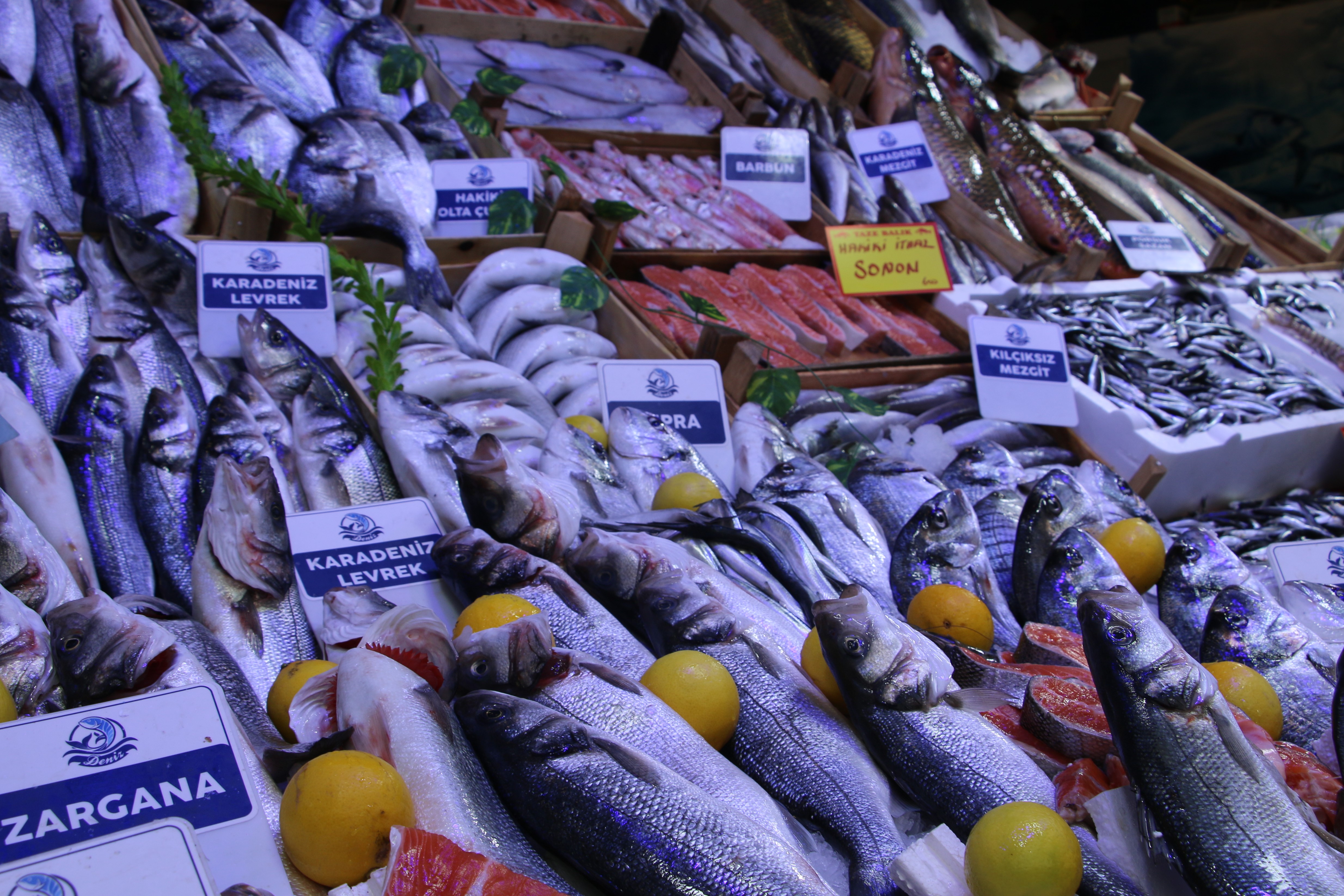 Kütahya’da Aralık Ayında Hangi Balık Yenir (3)