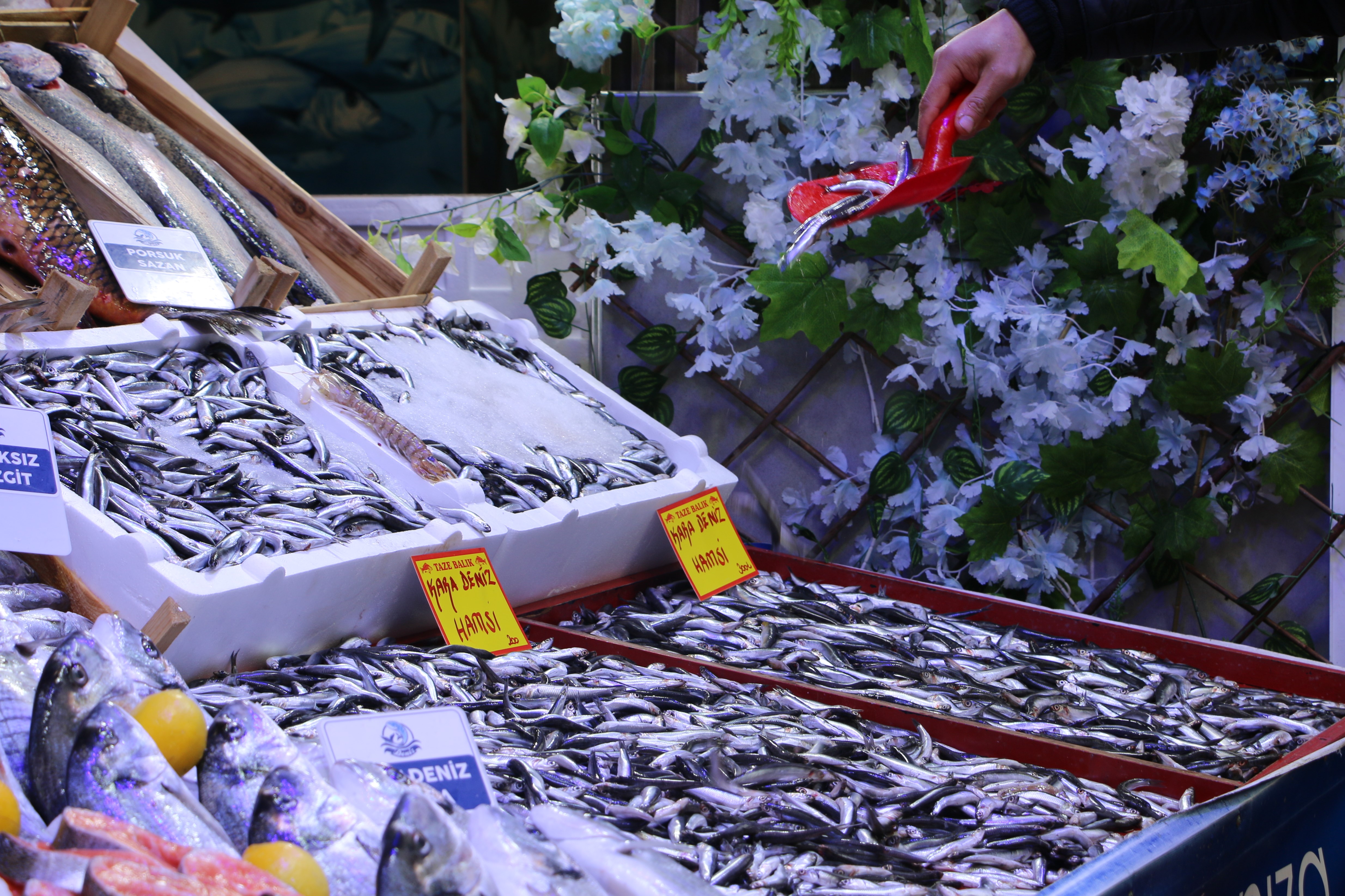 Kütahya’da Aralık Ayında Hangi Balık Yenir (4)