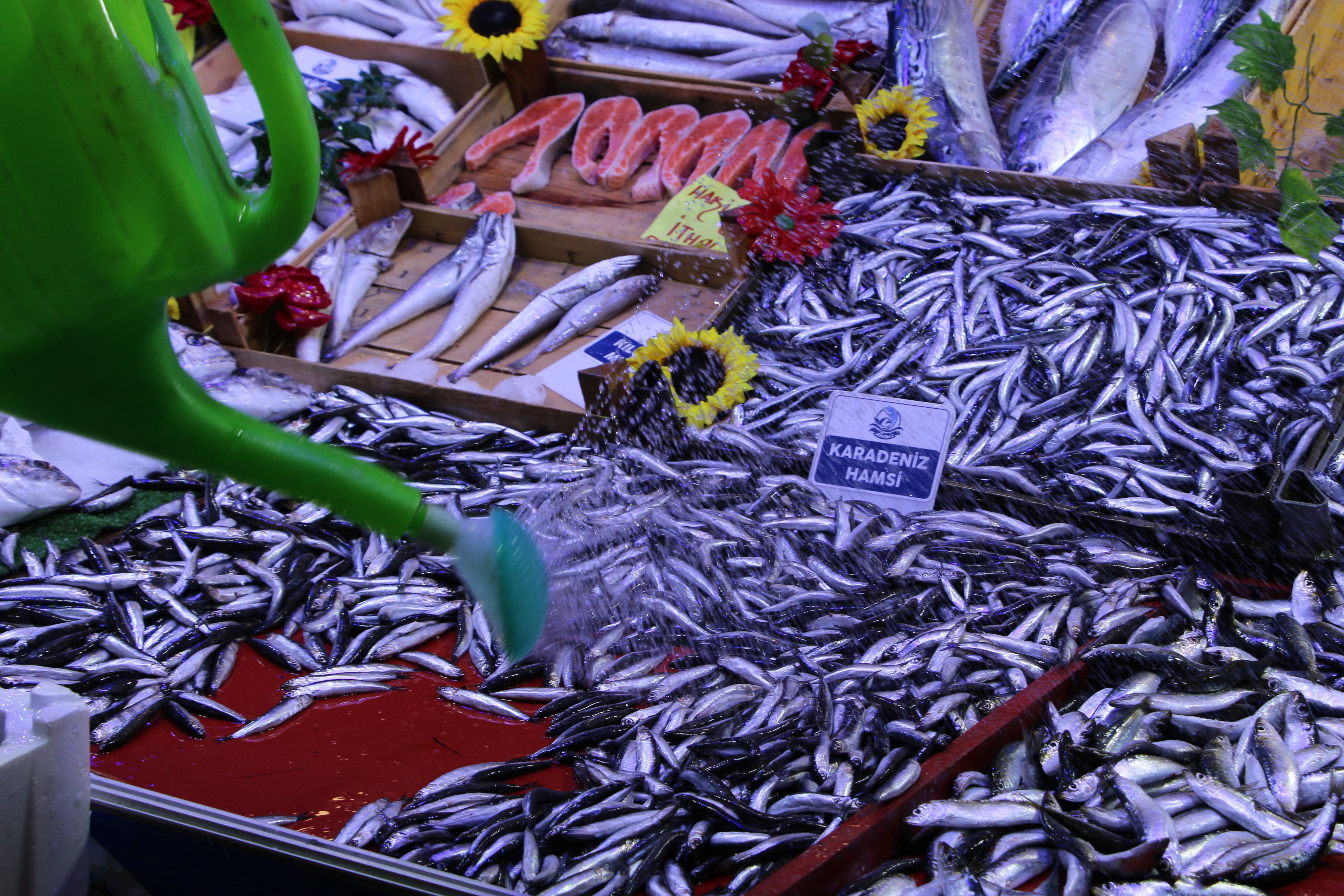 Kütahya’da Balık Tezgahlarında Çeşitler Artıyor (5)