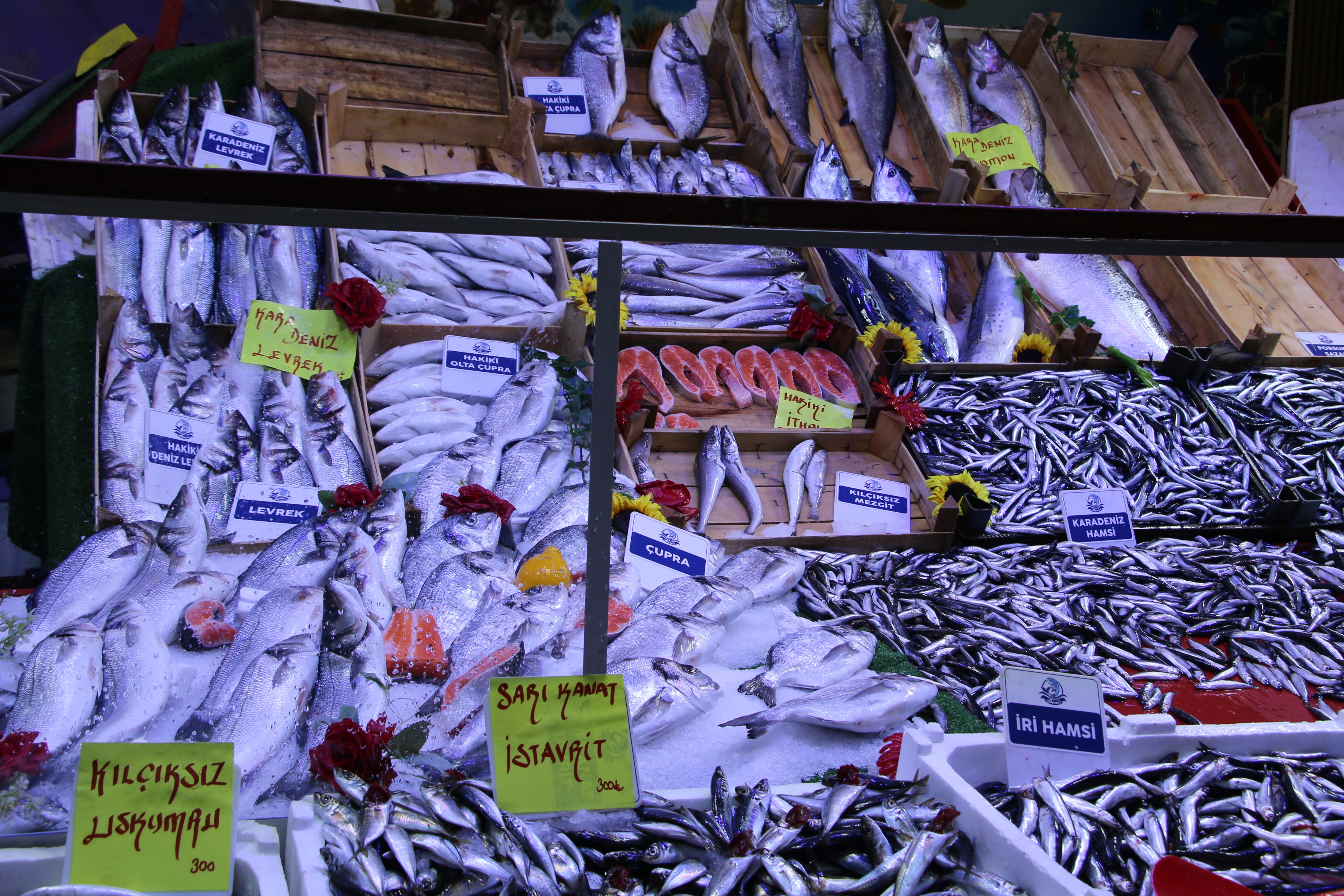 Kütahya’da Balık Tezgahlarında Çeşitler Artıyor (6)