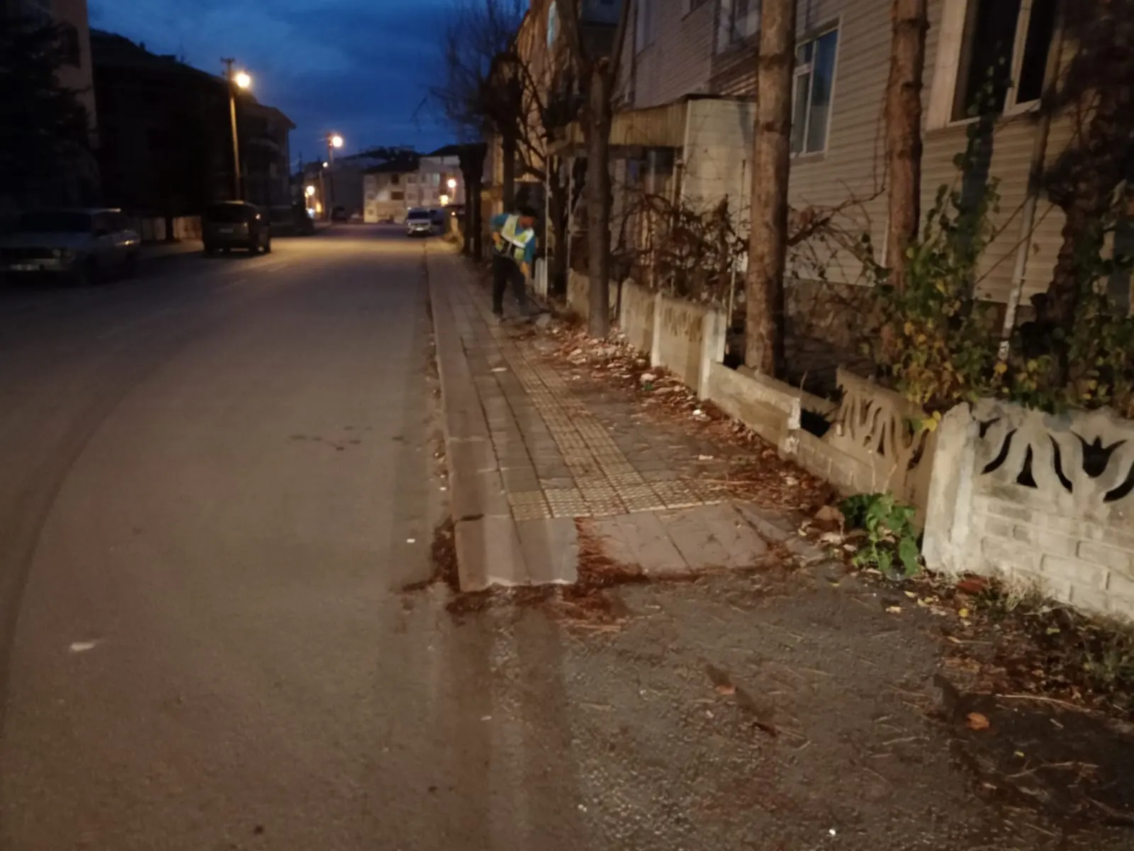 Kütahya’da Mıntıka Ve Yaprak Temizliği Yapıldı 1