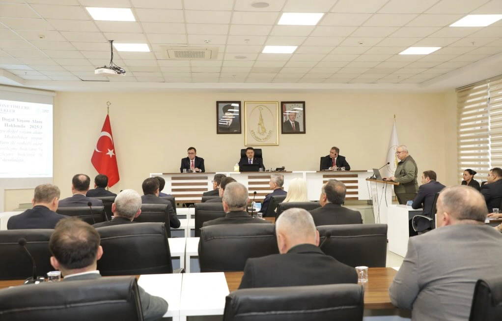 Kütahya’da Toplanan Sahipsiz Hayvan Sayısı Açıklandı 1