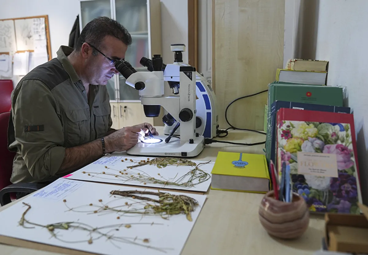 Muğla’da Emekli Öğretmen Yeni Bitki Türü Keşfetti2