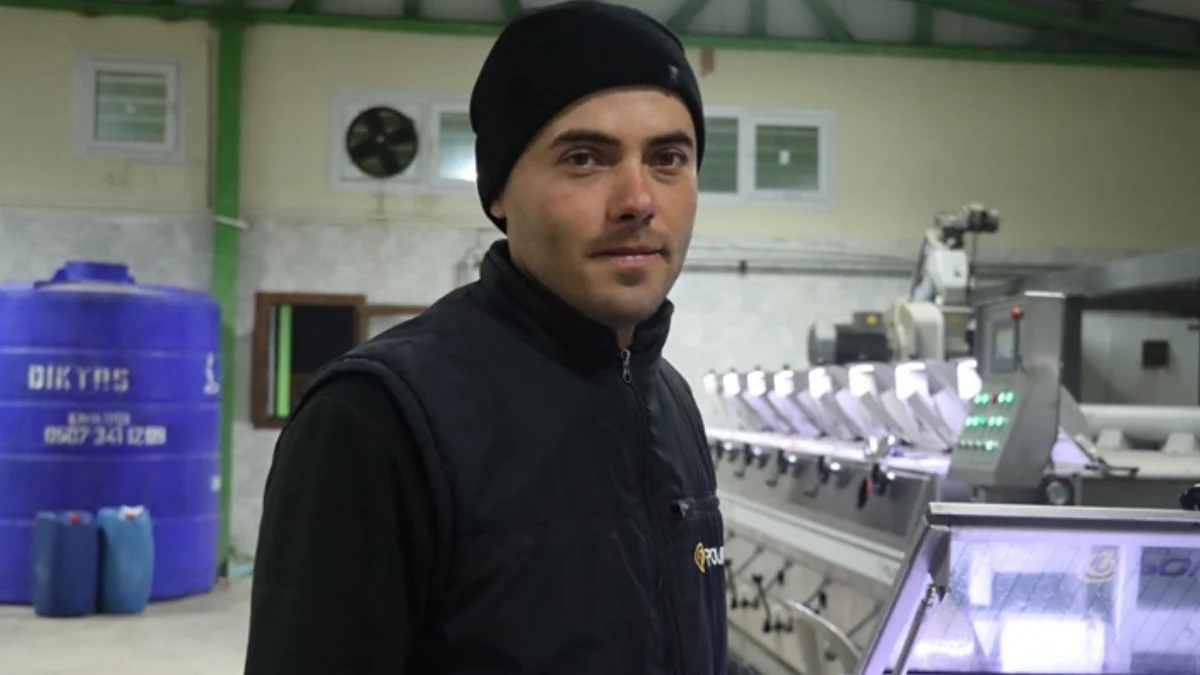 Muhtarın Iş Fikri Tüm Köyün Geçim Kaynağı Oldu Tonlarca Hasat Yapıyorlar 2