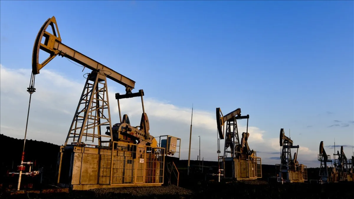 Rusya'nın Enerji Gelirleri Kasımda Yüzde 33,8 Düştü1