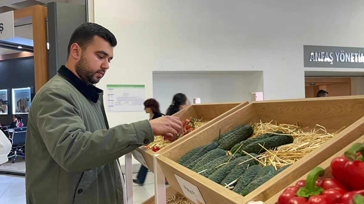 Türkiye’den Sebze Tohumu Ihracatında Rekor Artış