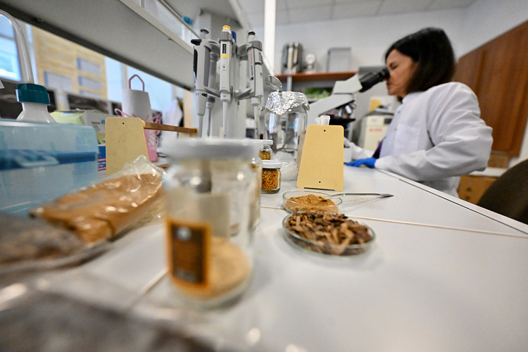 Çocuklarda Propolisin Büyüme Ve Gelişime Etkileri Araştırıldı 1