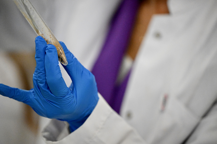 Çocuklarda Propolisin Büyüme Ve Gelişime Etkileri Araştırıldı 3