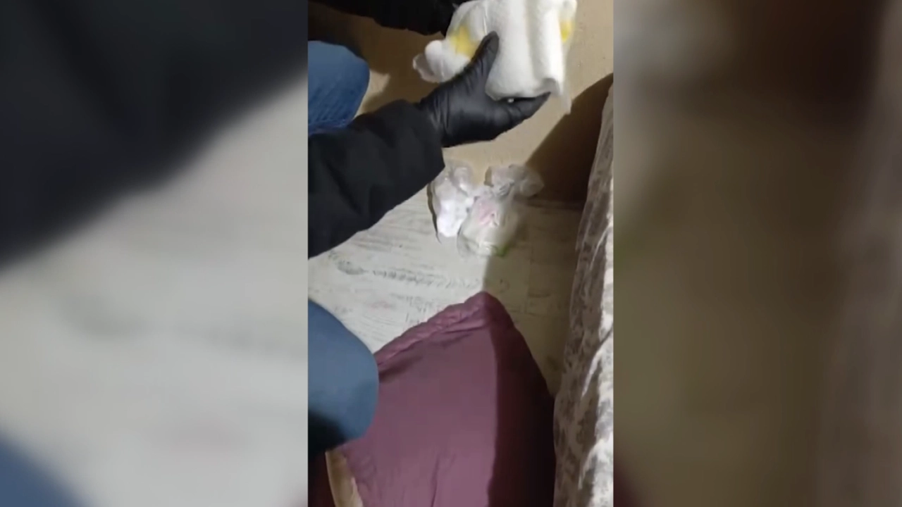 Denizli'de Yapılan Operasyonda 2 Kişi Tutuklandı2