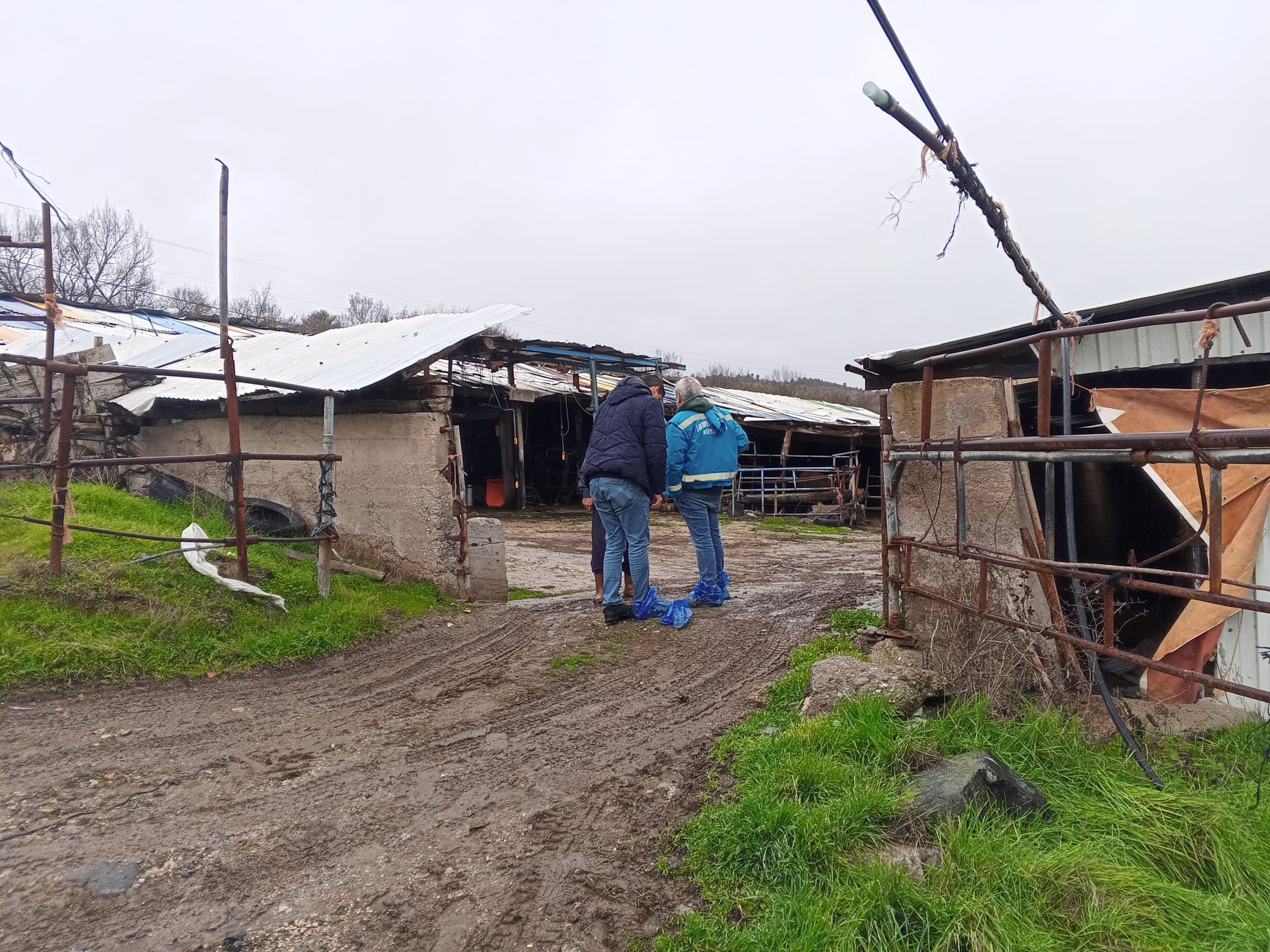 Kütahya Domaniç’te Kapasite Tespit Çalışmaları Sürüyor