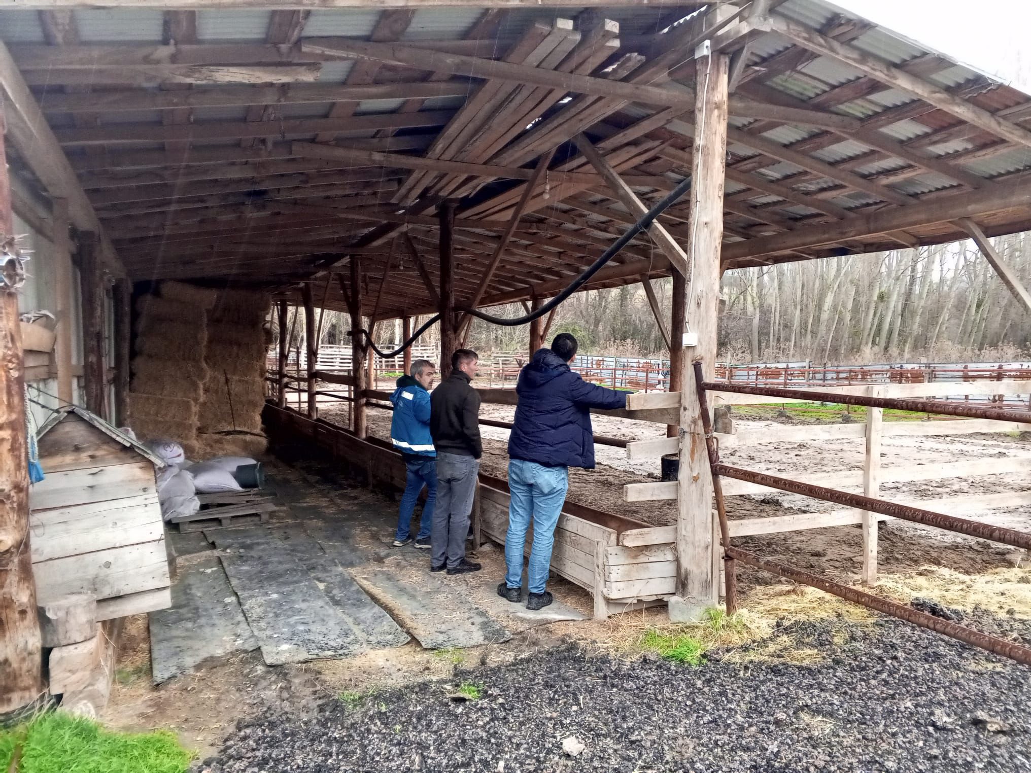 Kütahya Domaniç’te Kapasite Tespit Çalışmaları Sürüyor1