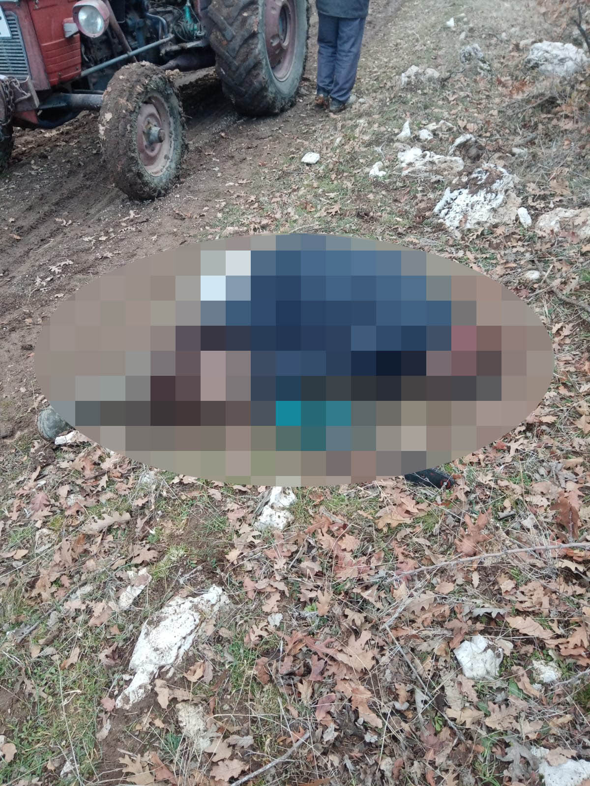 Kütahya'da Odun Toplamak Için Gittiği Ormanda Ölü Bulundu (2)-2