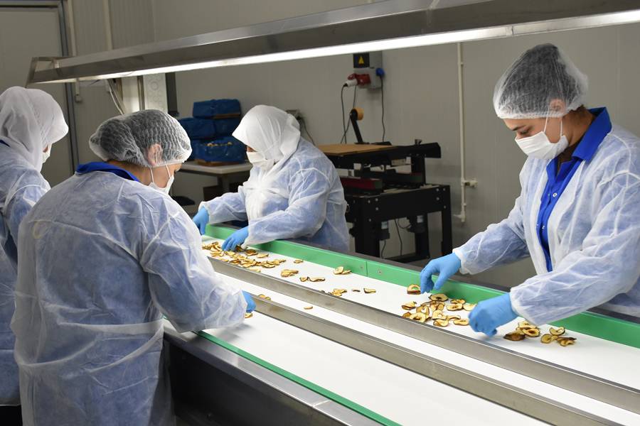 Meyve Sebze Tedarikçisi, Devlet Desteğiyle Işletme Sahibi Oldu (4)