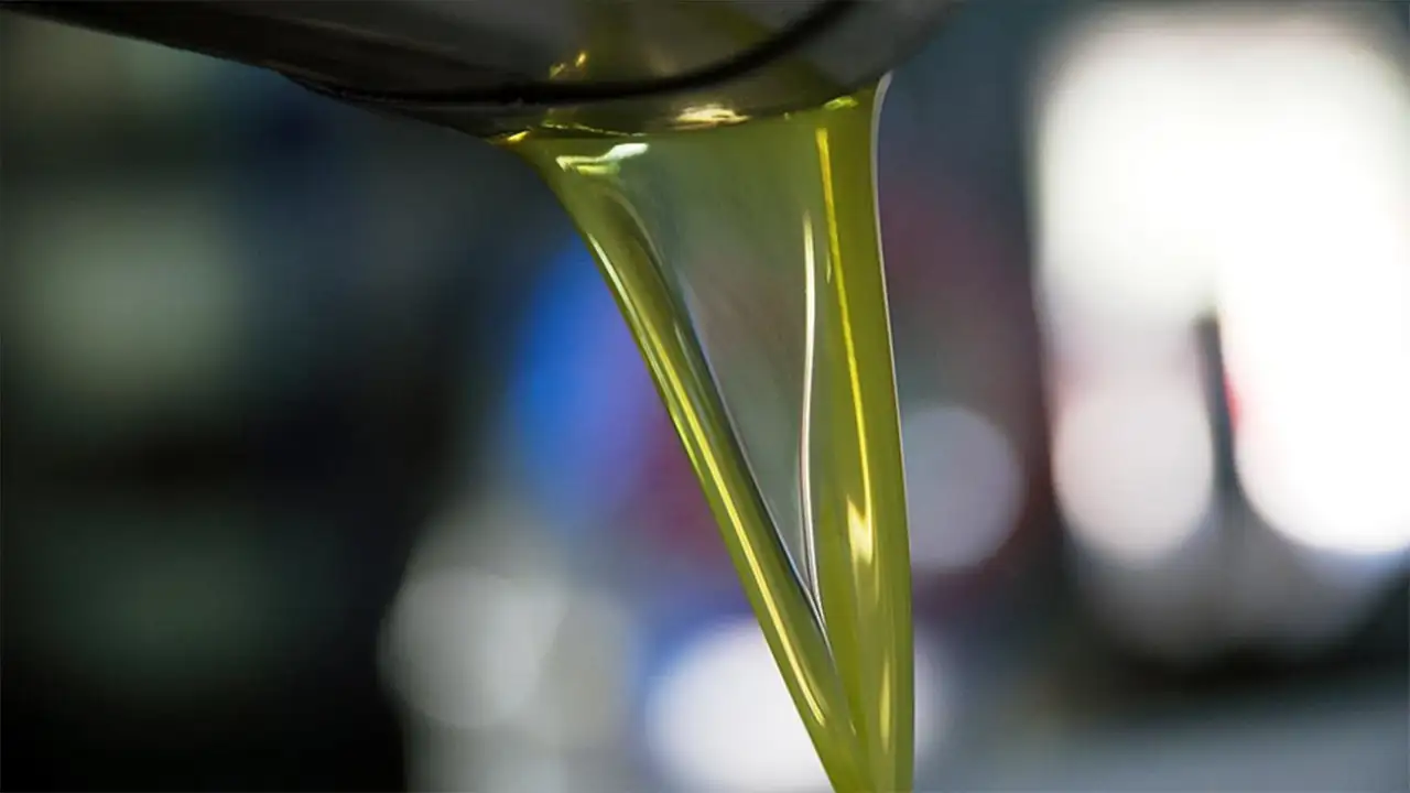 Türkiye, Zeytinyağı Üretiminde Dünya Ikinciliğine Yükseldi1