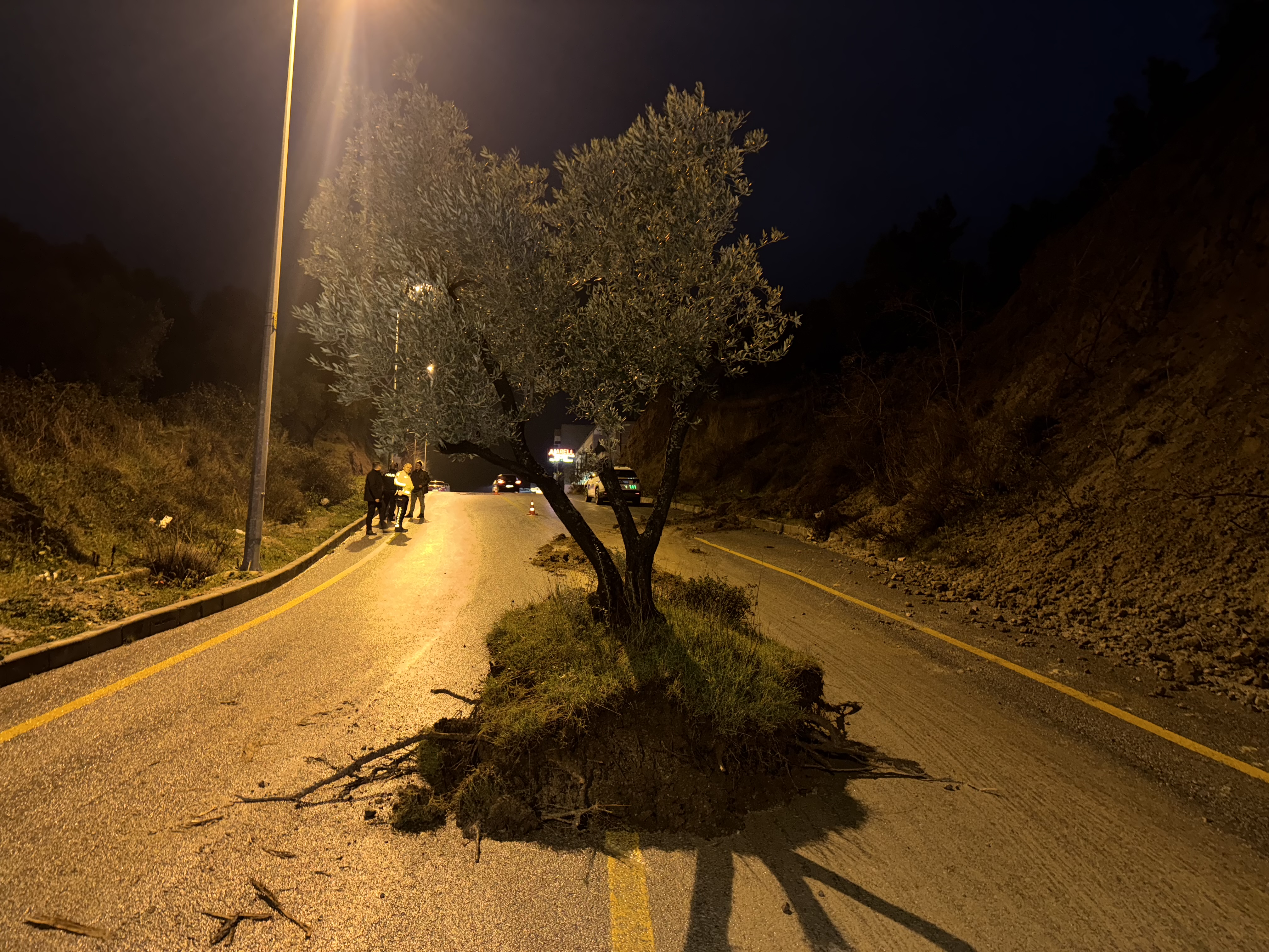 A A 20260202 40433506 40433504 A Y D I N D A S A G A N A K V E D O L U E T K I L I O L D U