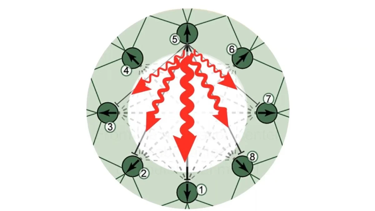 Bal Arılarından Ilham Alan Yeni Nesil Gps Teknolojisi Geliştiriliyor1