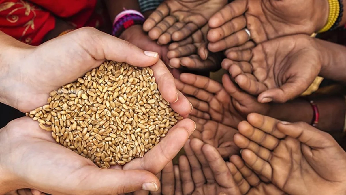 Diyanet Zekat Hesaplama Sistemi 20262