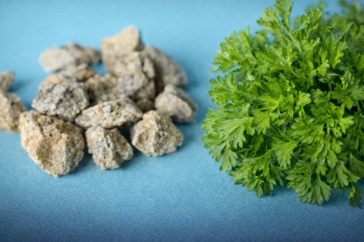 Her Gün 1 Avuç Maydanoz Böbrek Taşını Atıyor