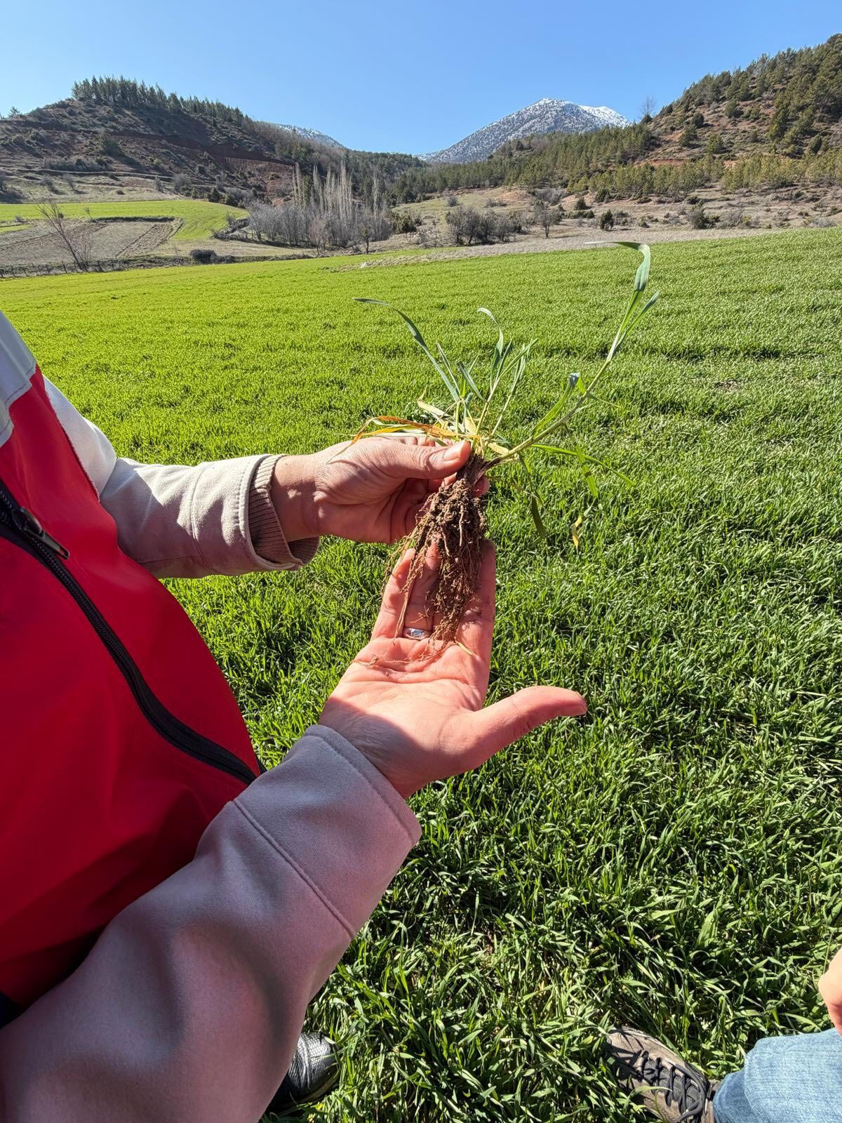 Kütahya Çavdarhisar’da Fenolojik Gözlem Çalışmaları Yapıldı1