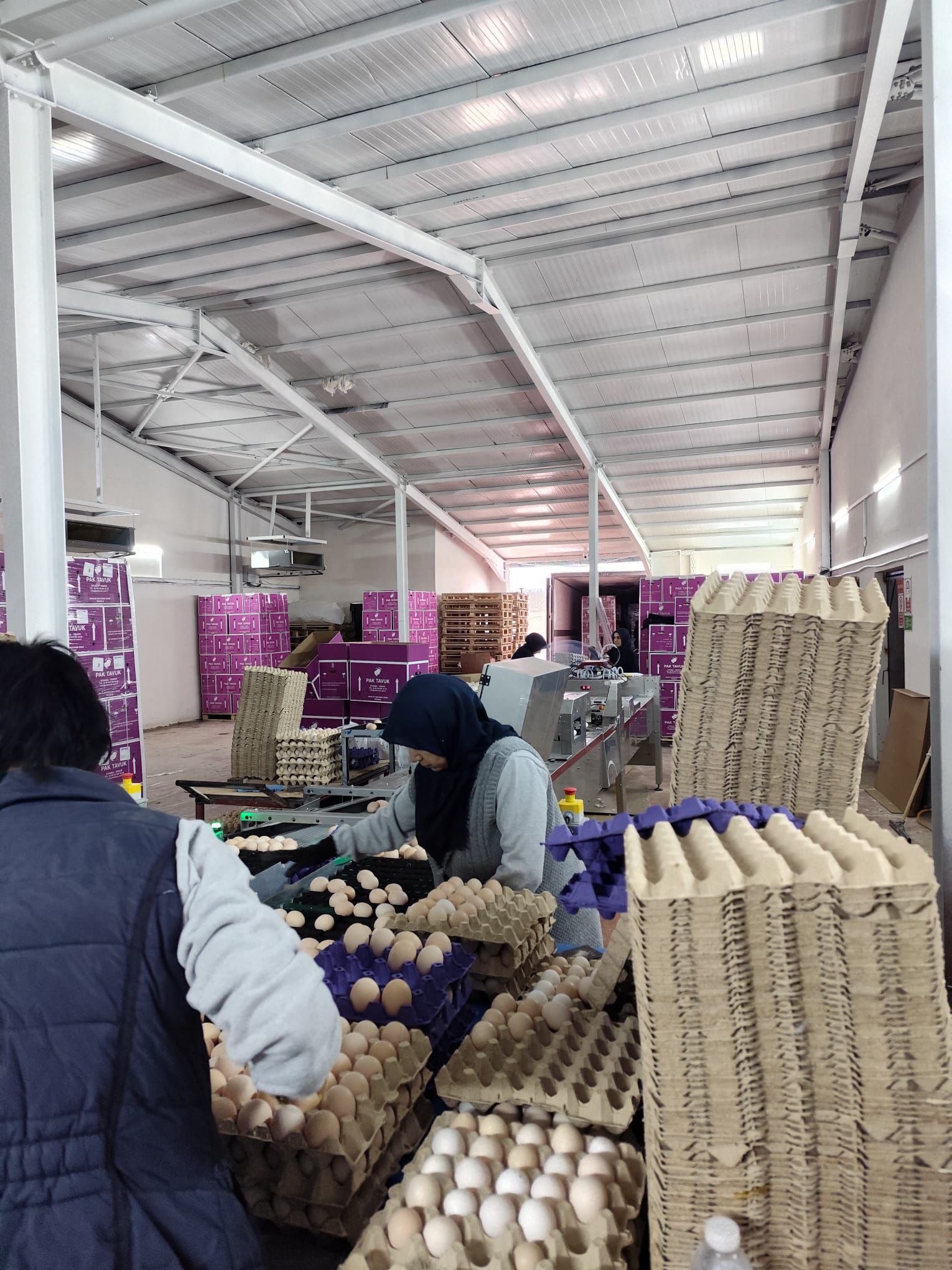 Kütahya Çavdarhisar’daki Yumurtacı Işletmeye Mevzuat Denetimi2