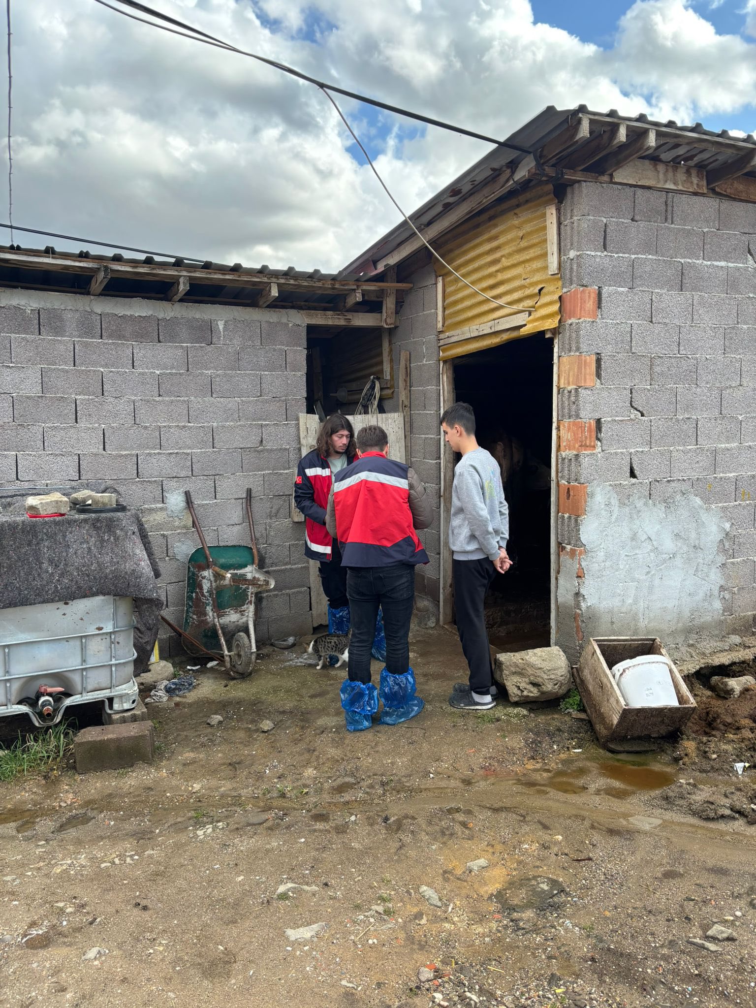 Kütahya Gediz’de Hayvancılık Işletmelerine Inceleme2