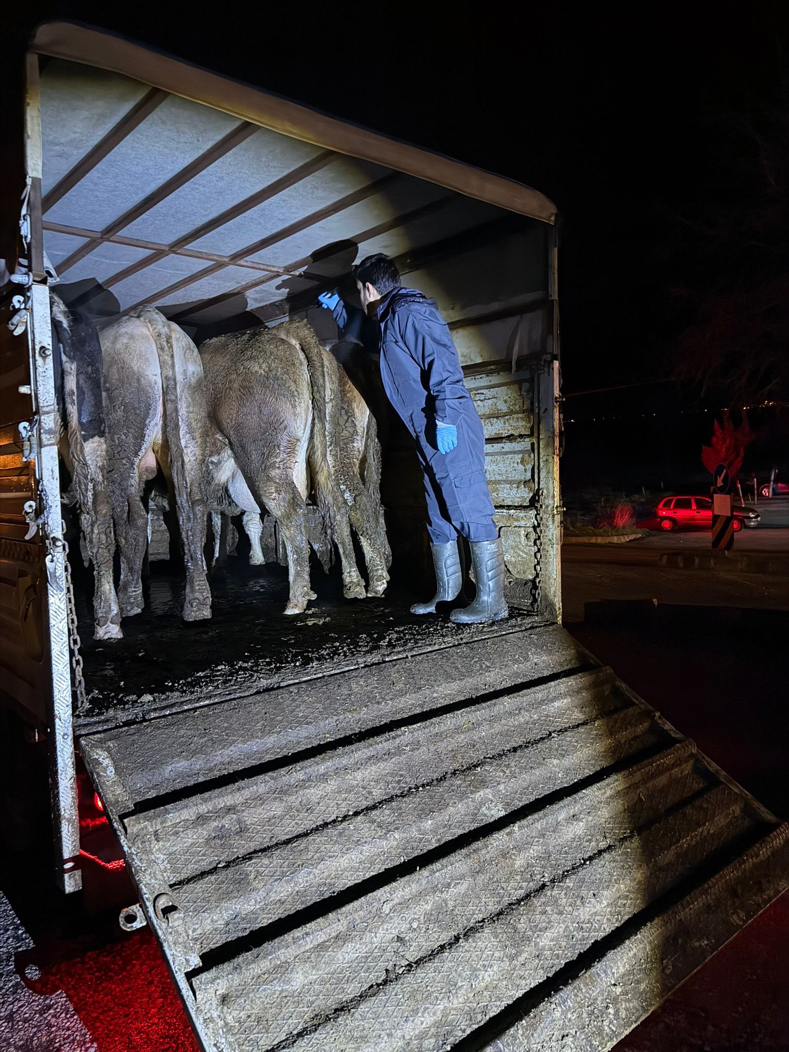 Kütahya Simav’da Hayvan Hastalıklarına Karşı Yoda Denetim1