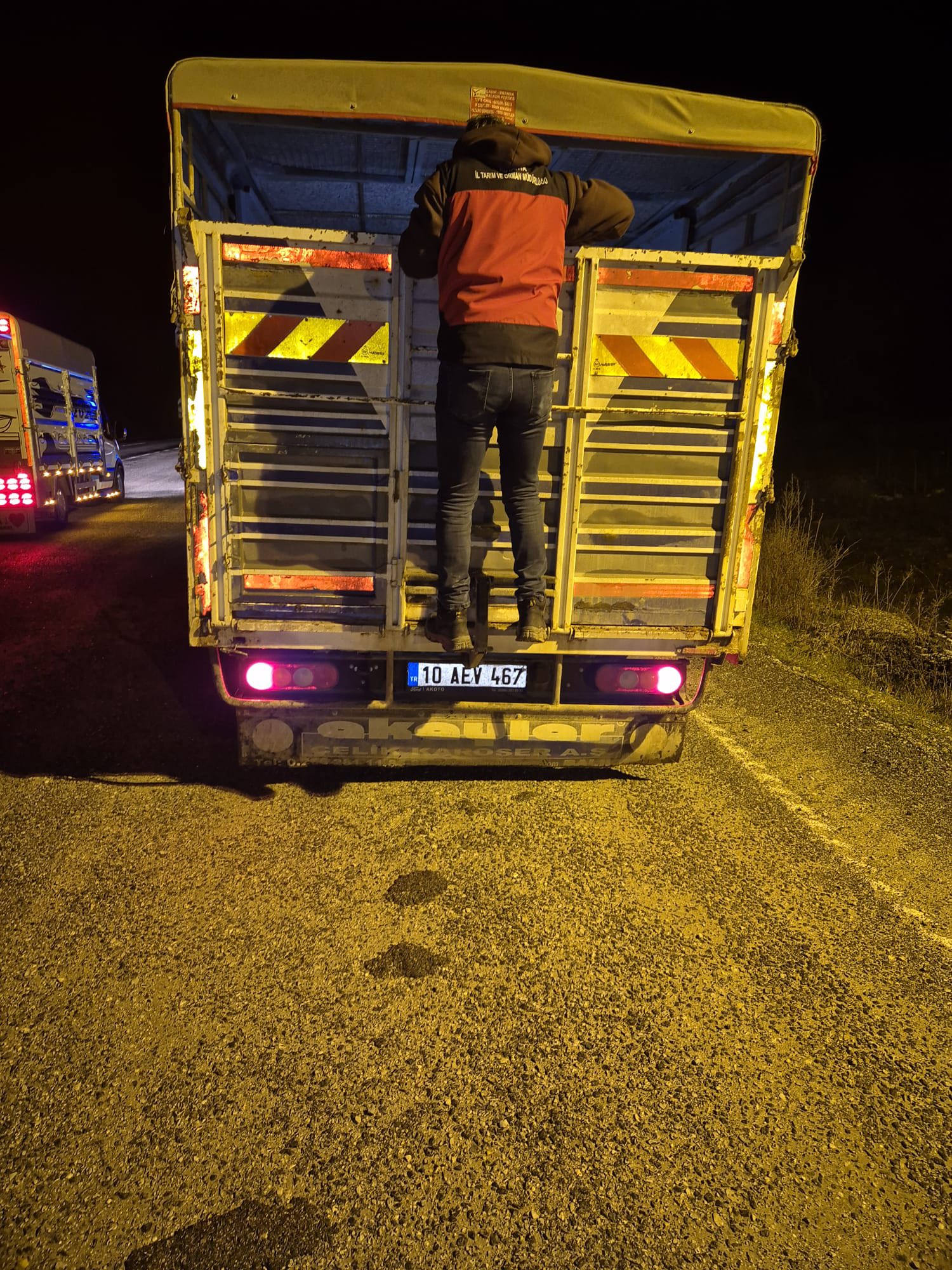 Kütahya Simav’da Hayvan Hastalıklarına Karşı Yoda Denetim3