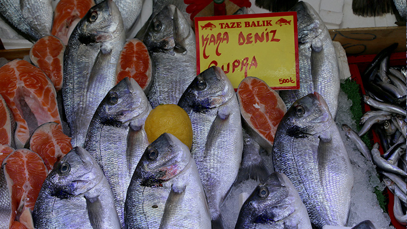 Kütahya’da Balık Tezgahlarında Çeşitler Arttı (5)-1