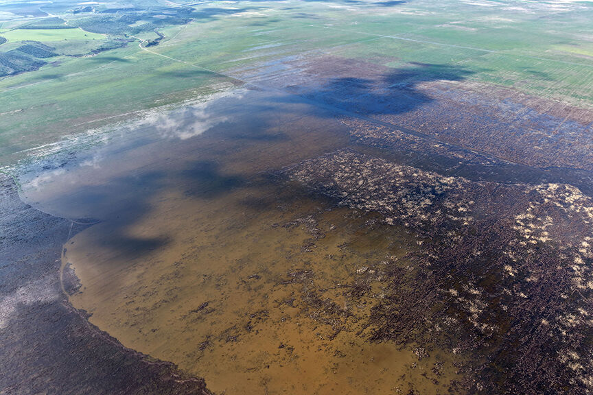 Marmara Gölü 5 Yıl Sonra Yeniden Su Tuttu2