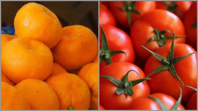 Ocakta Hallerin En Pahalı Ürünü Kestane Oldu1