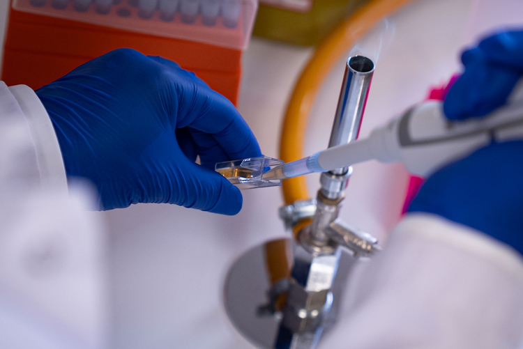 Sbü’de Kişiye Özel Probiyotik Dönemi 3