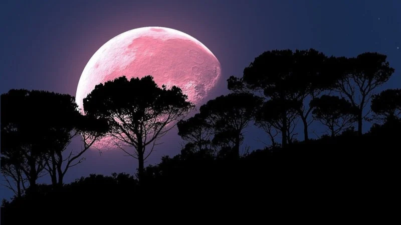 2026 Pembe Dolunay Ne Zaman Görülecek1