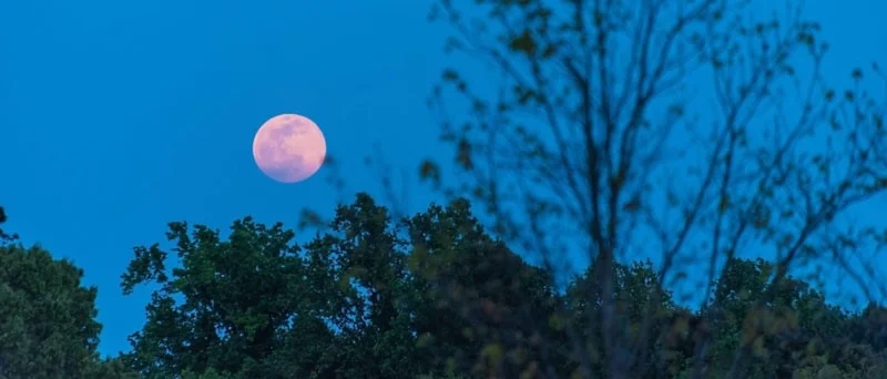 2026 Pembe Dolunay Ne Zaman Görülecek2