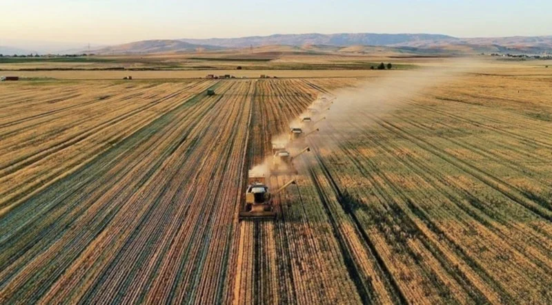 Dmm Gıda Arzı Tehlikede Iddiasını Yalanladı1