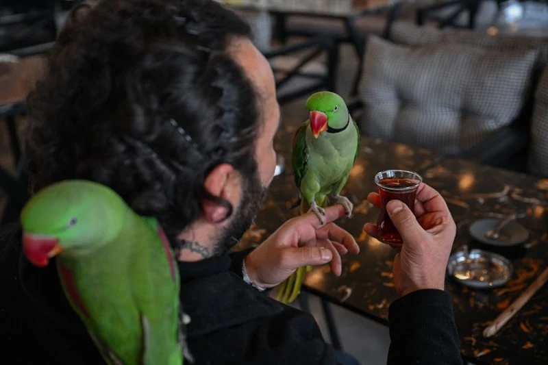 İskender Papağanlarıyla Ayrılmaz Dostluk3