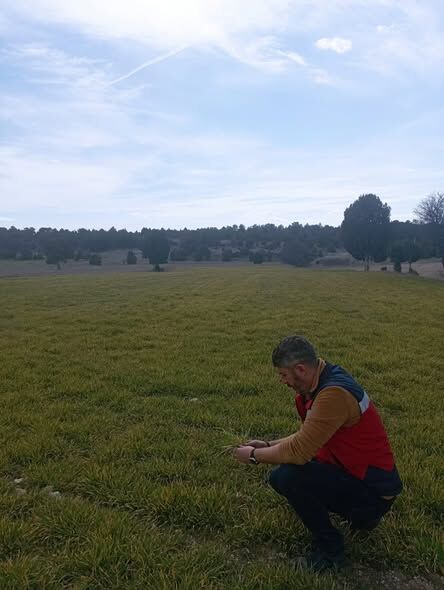 Kütahya Aslanapa’da Soğuk Zarar Gören Ekili Alanlar Incelendi 1