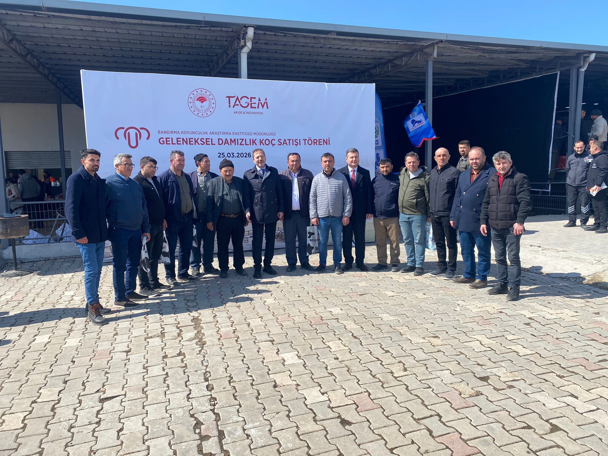 Kütahya Bandırma’da Damızlık Koç Satışına Yoğun Katılım