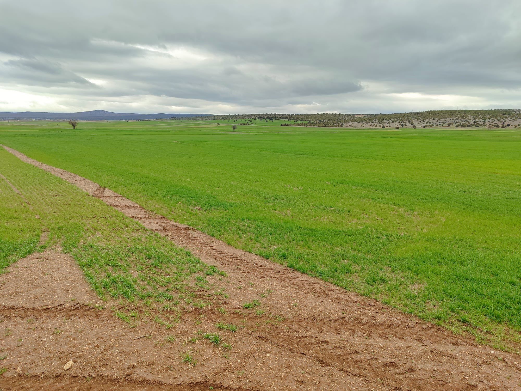 Kütahya Çavdarhisar’da Demonstrasyon Çalışmaları Sürüyor2