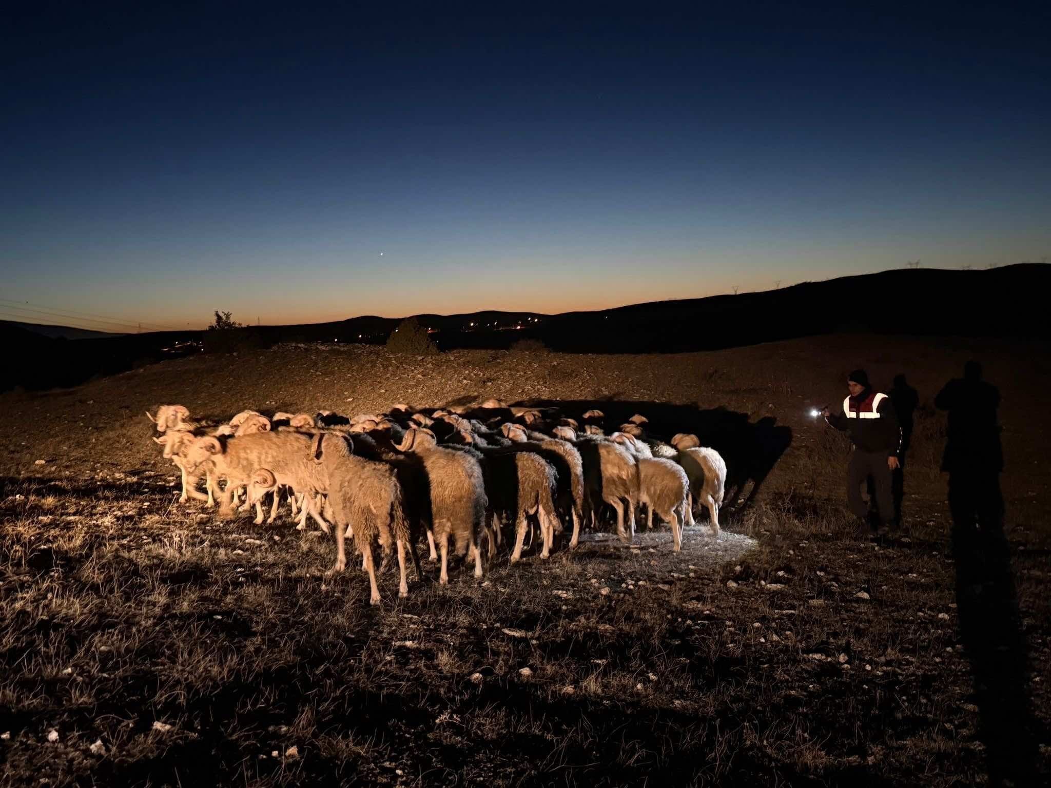 Kütahya'da Muhtarın Koyunları Firarda (1)-1