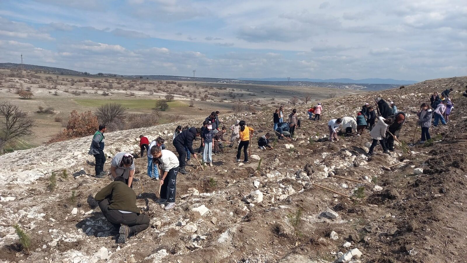 Kütahya’da Öğrencilerden Fidan Dikim Etkinliği (1)