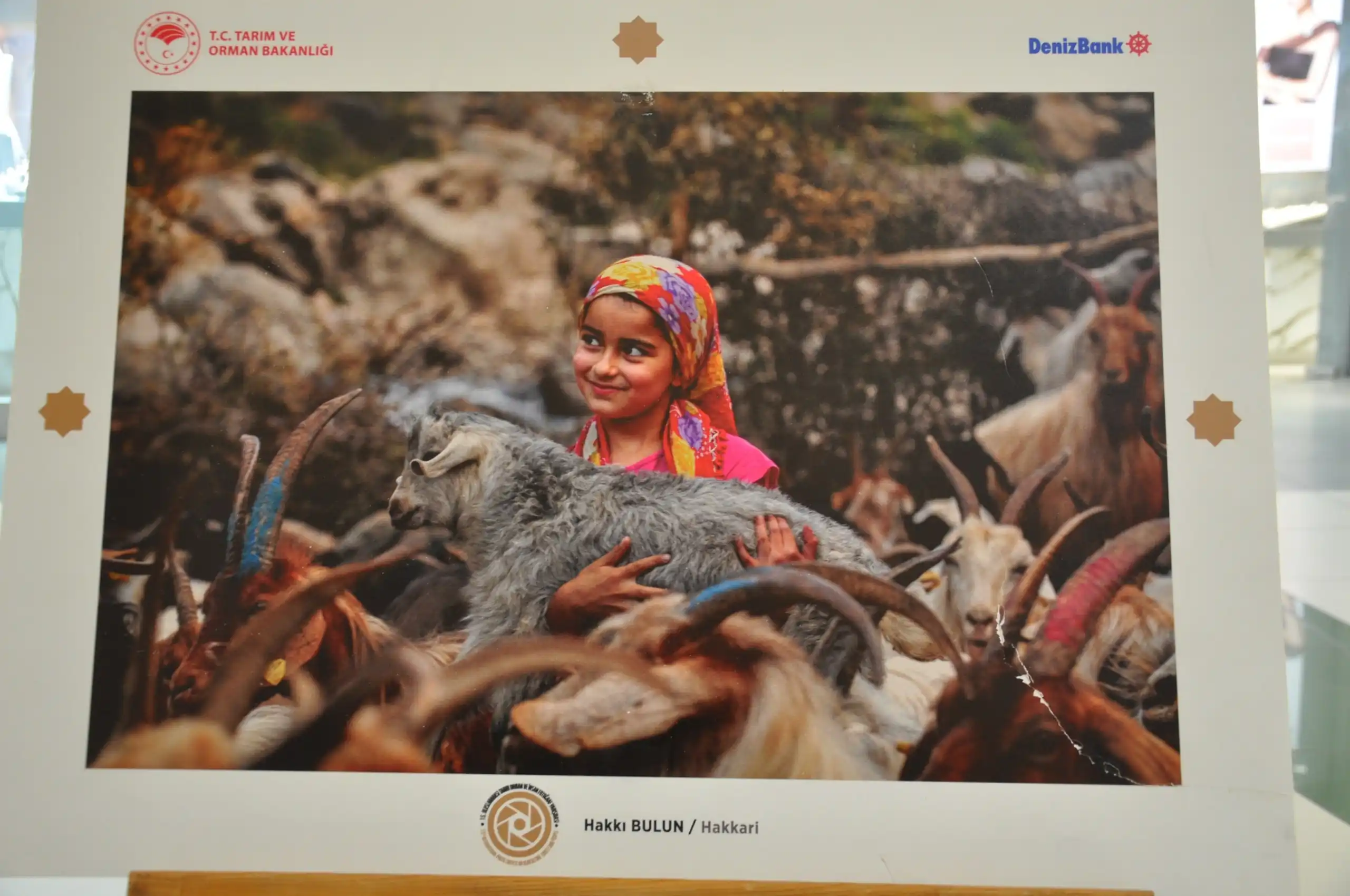 Kütahya’da Uluslararası Orman Ve Insan Fotoğrafları Sergilendi