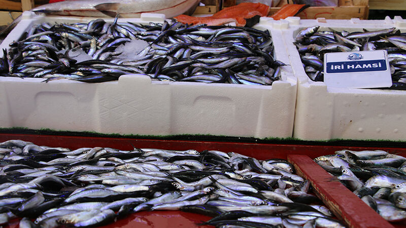 Kütahya’da Vatandaşlar Bayramda “Taze Balık” Alabilecek (4)