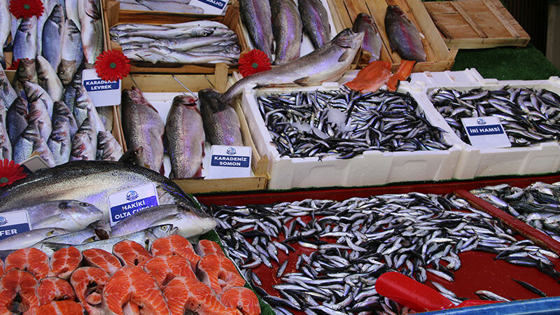 Kütahya’da Vatandaşlar Bayramda “Taze Balık” Alabilecek (5)