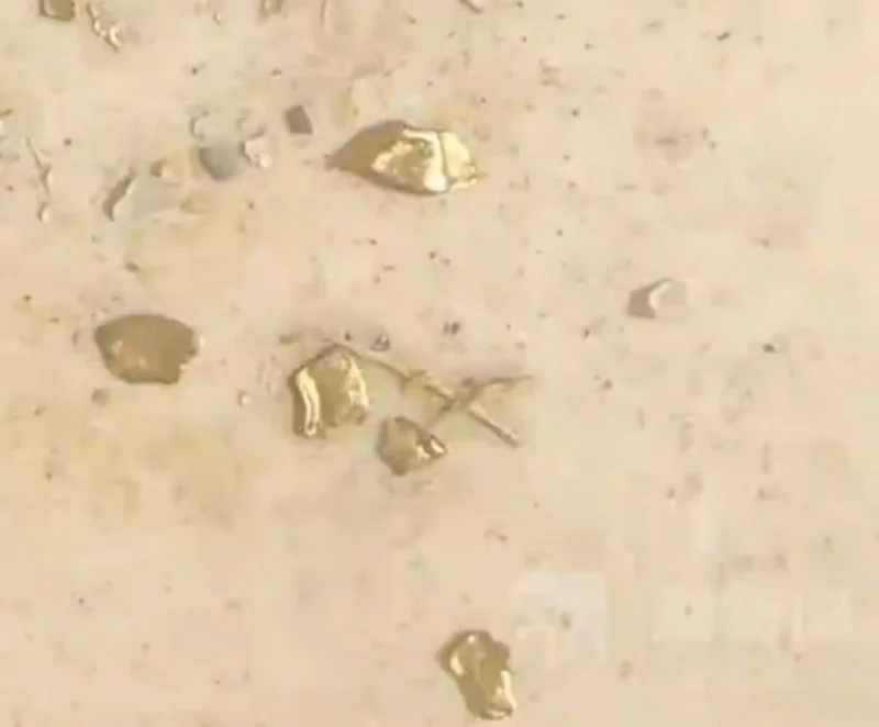 Midesinden Altın Çıkan Ördek Şaşırttı3