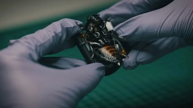 Nato’nun Yeni “Casusları”1