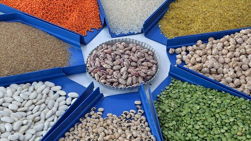 Tarım, Gıda Ve Içecek Sektöründen Ocak Ayında 2,4 Milyar Dolarlık Ihracat