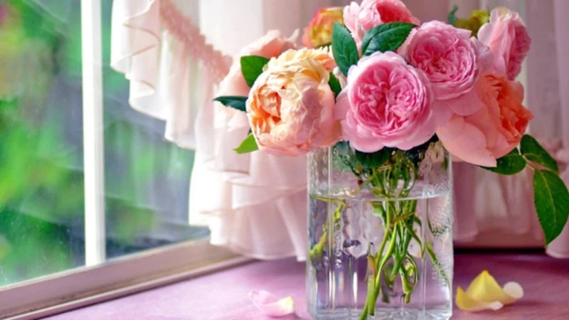 Vazoda Gül Bakımıyla Çiçekler Haftalarca Taze Kalıyor1